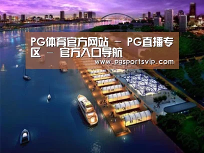 案例展示八