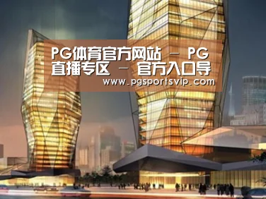 案例展示三