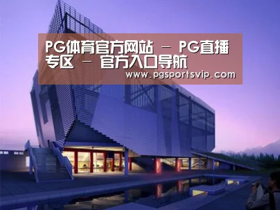案例展示六