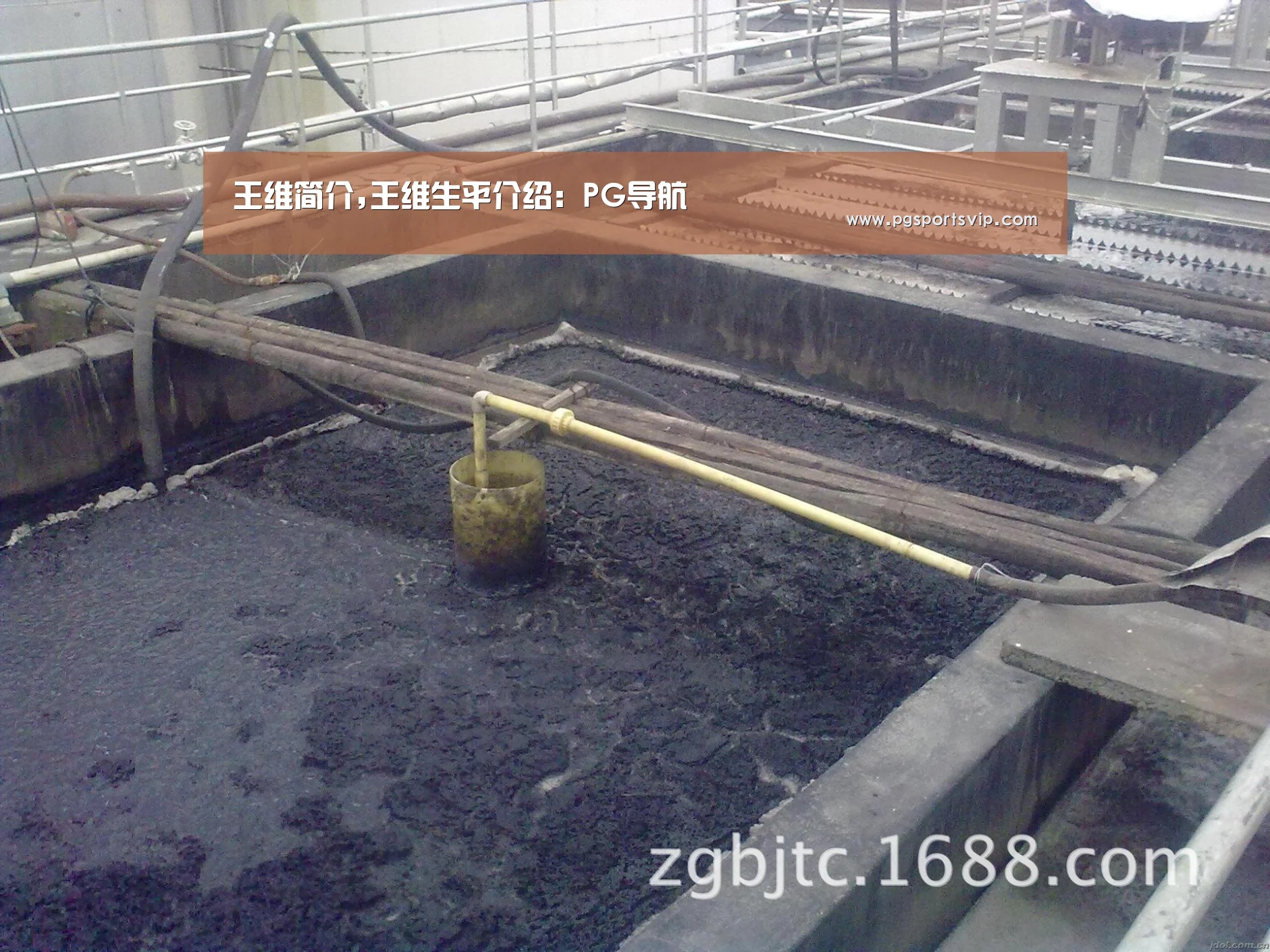 王维简介,王维生平介绍:PG导航(图1) PG直播